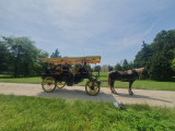 Fotogalerie Bylo to tropikl… aneb IT3C na jižní Moravě, foto č. 4